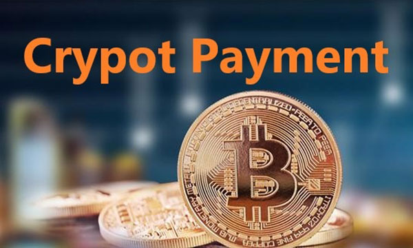 Export the first batch Crypto payment pos terminal